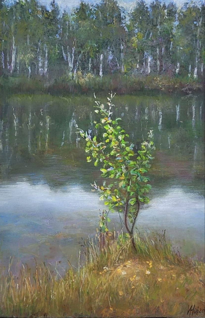 Pastel landscape of a young tree on a grassy shore, with still water reflecting birch trees on the opposite bank.